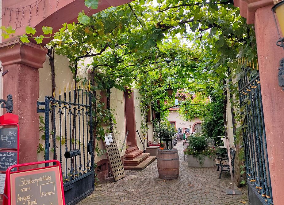 Pfalz_Wein Pfälzer Weinstraße