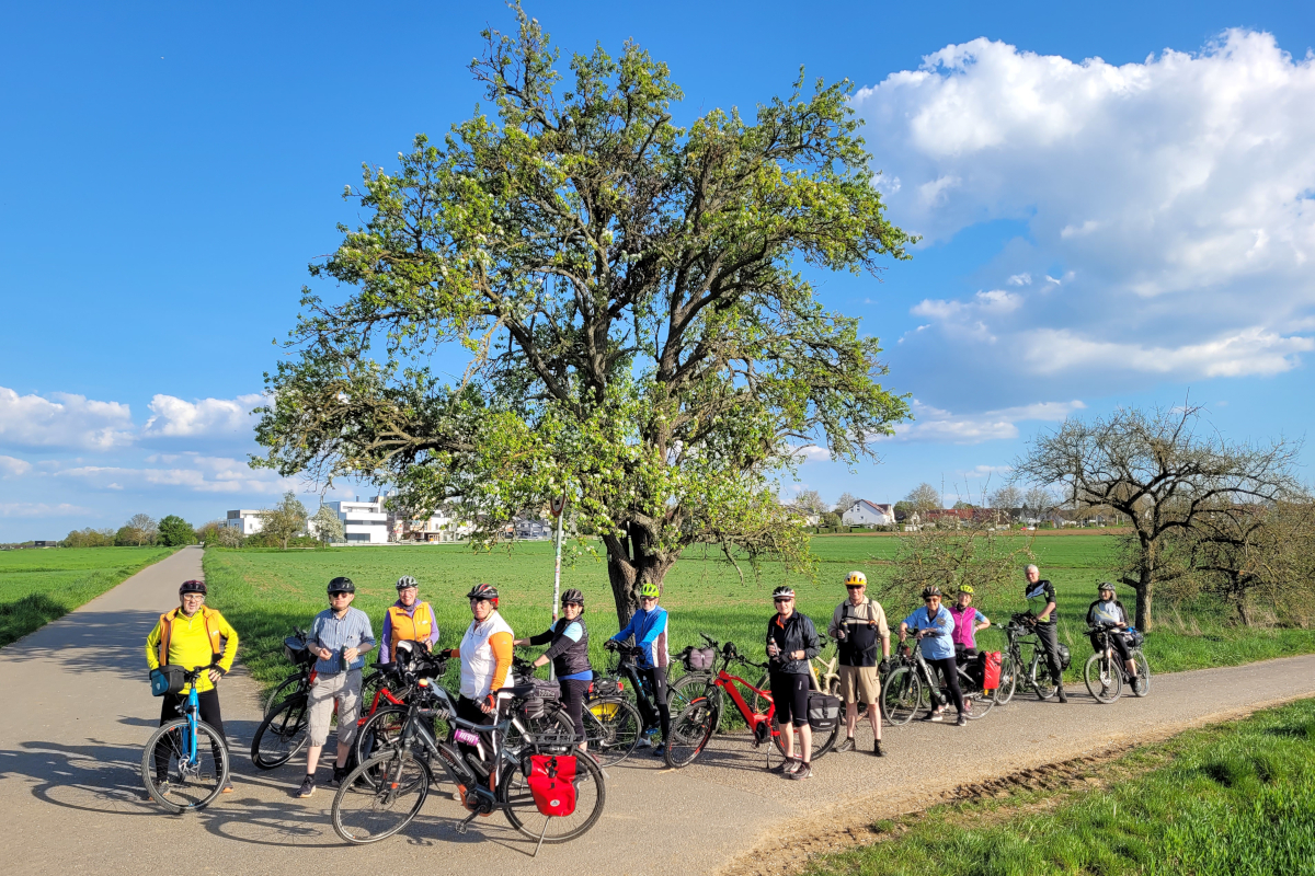 Blühende Landschaften mit sonnigem Wetter genossen die Radler und Radlerinnen des ADFC Marbach zur ersten Freitags-Feierabendtour.