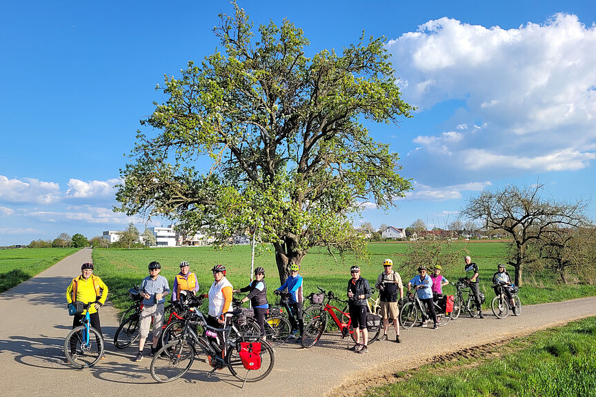 FAT 17042026 Blühende Landschaften mit sonnigem Wetter genossen die Radler und Radlerinnen des ADFC Marbach zur ersten Freitags-Feierabendtour.
